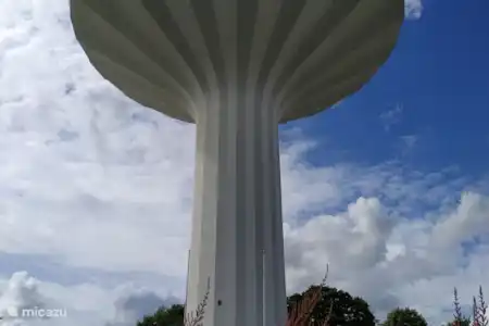 Svampen Örebro