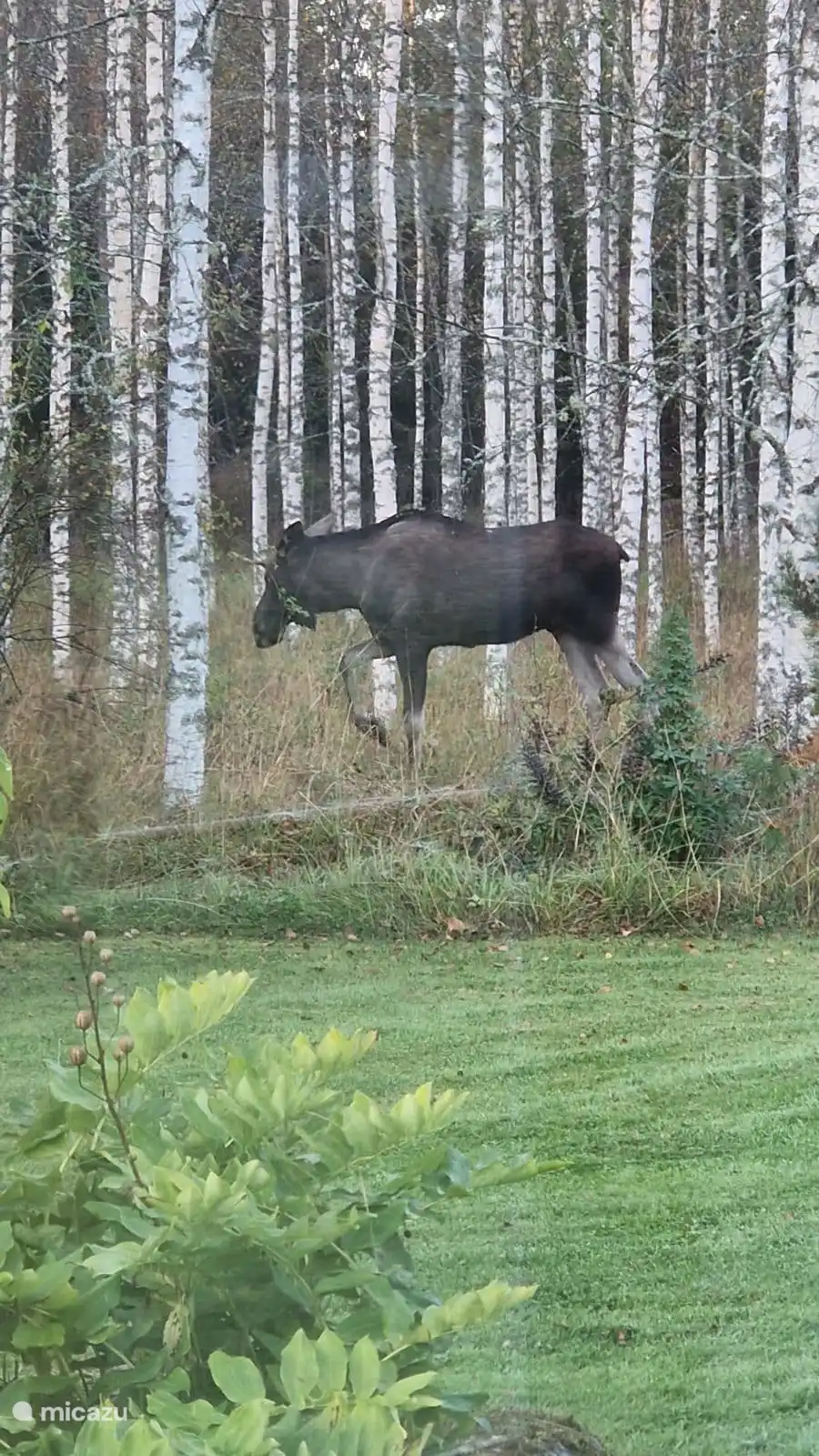 Foto vom Haus aus aufgenommen