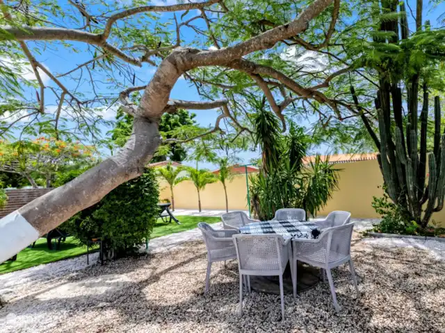 Villa Montana huren in Curaçao, Banda Abou (west), Grote Berg - villa Onder de Flamboyan