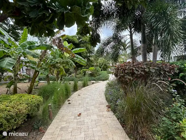 Location de Vacances Curaçao, Banda Ariba (est), Jan Sofat, villa - Villa exclusive avec piscine privée Jardin tropical vers la piscine commune