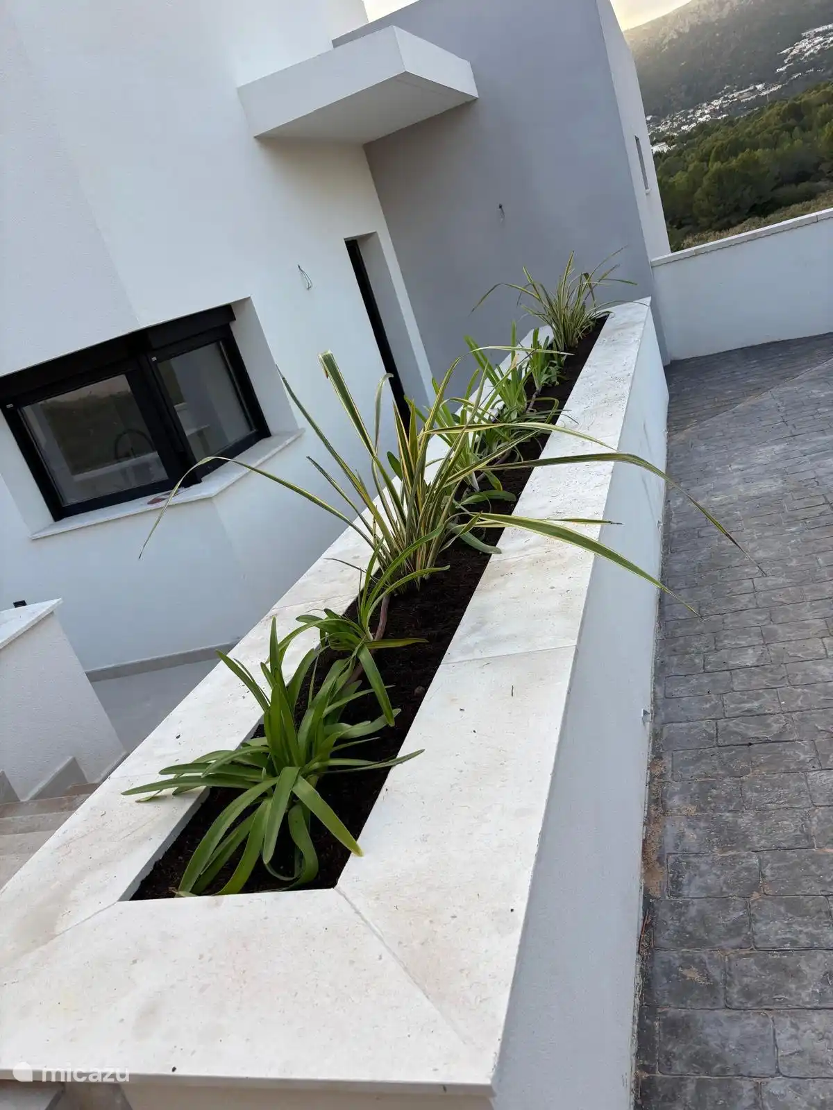 Einfahrt und Haustür