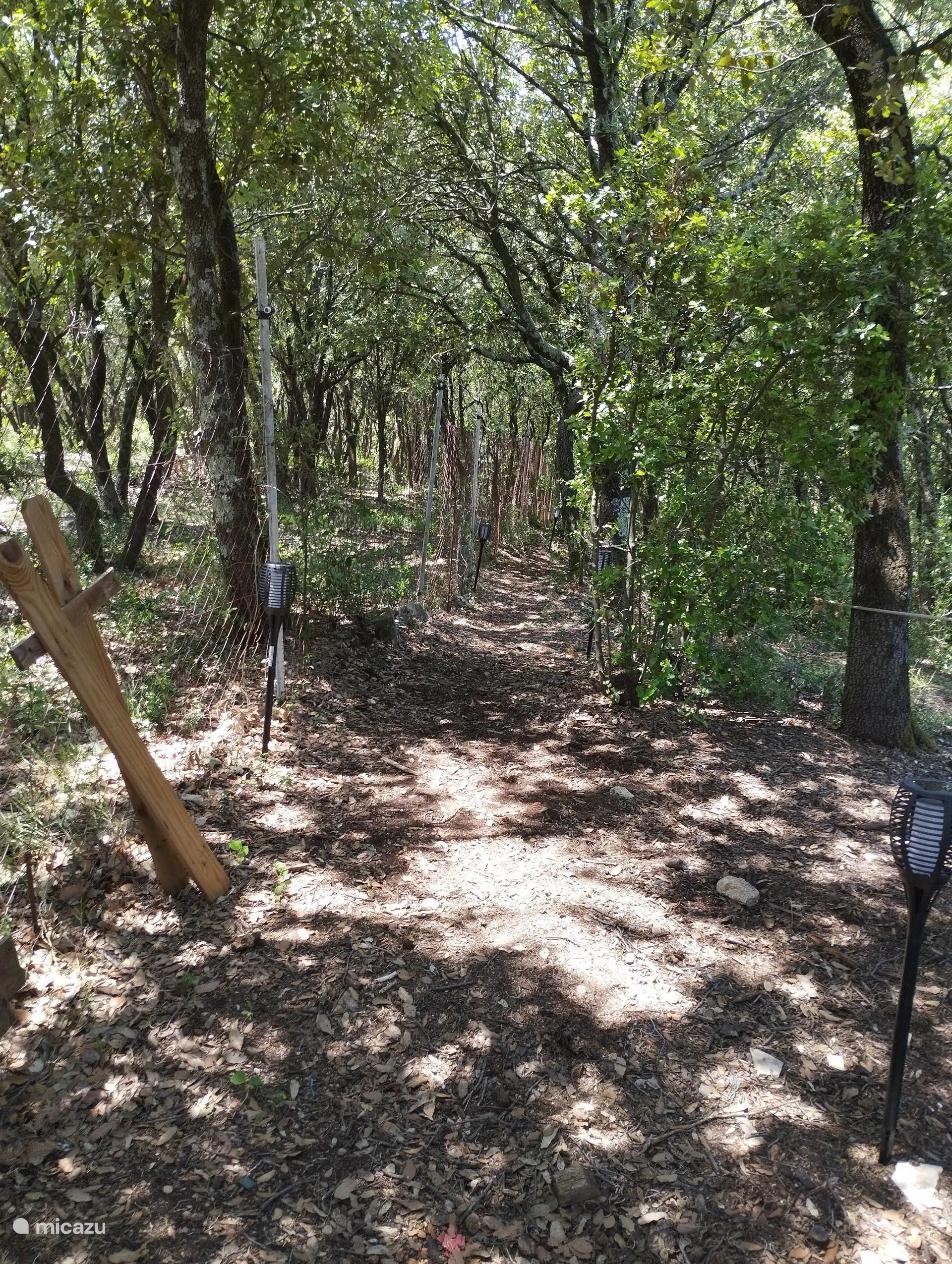 Zugangsweg durch den Wald  