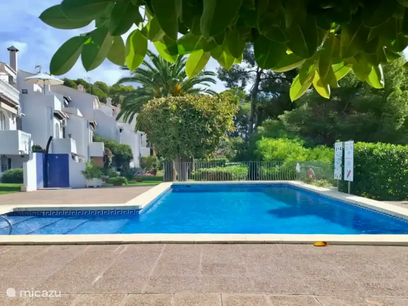 Palmhouse Moraira huren in Spanje, Costa Blanca, Moraira-Teulada - Appartement Palmhouse Moraira huren in Spanje, Costa Blanca, Moraira-Teulada - Appartement