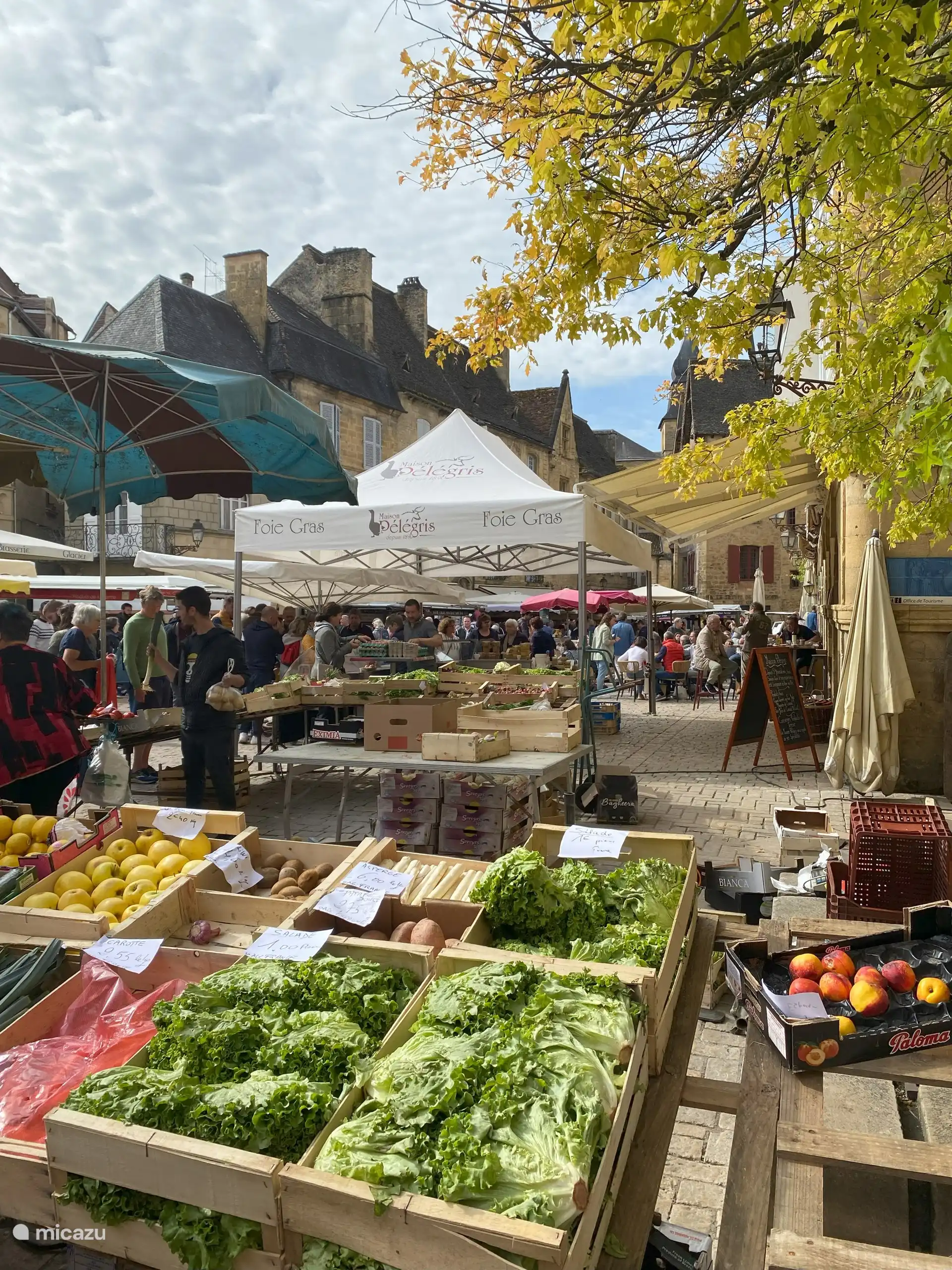 Marché à Sarlat