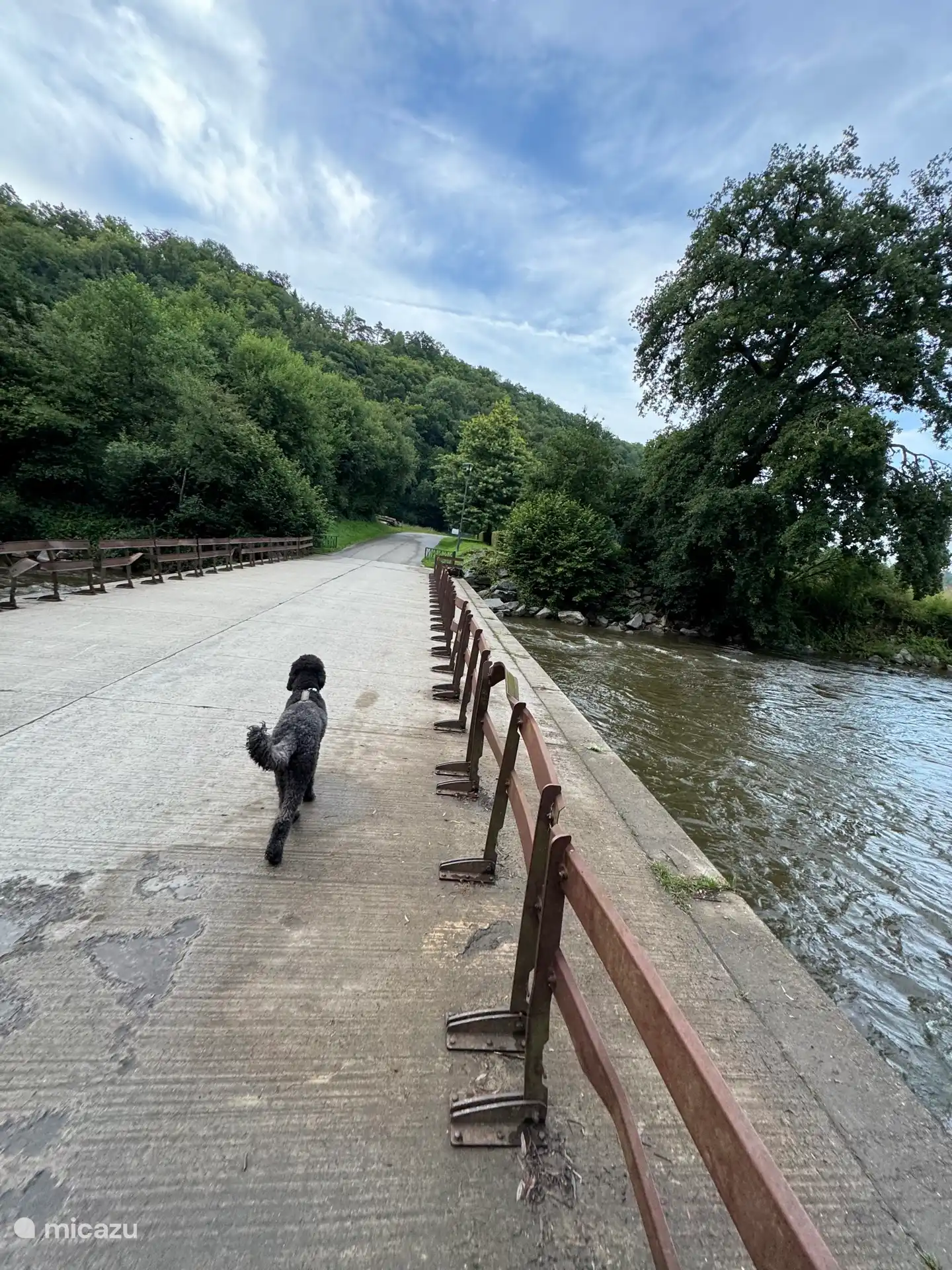 Genießen Sie die herrliche Umgebung