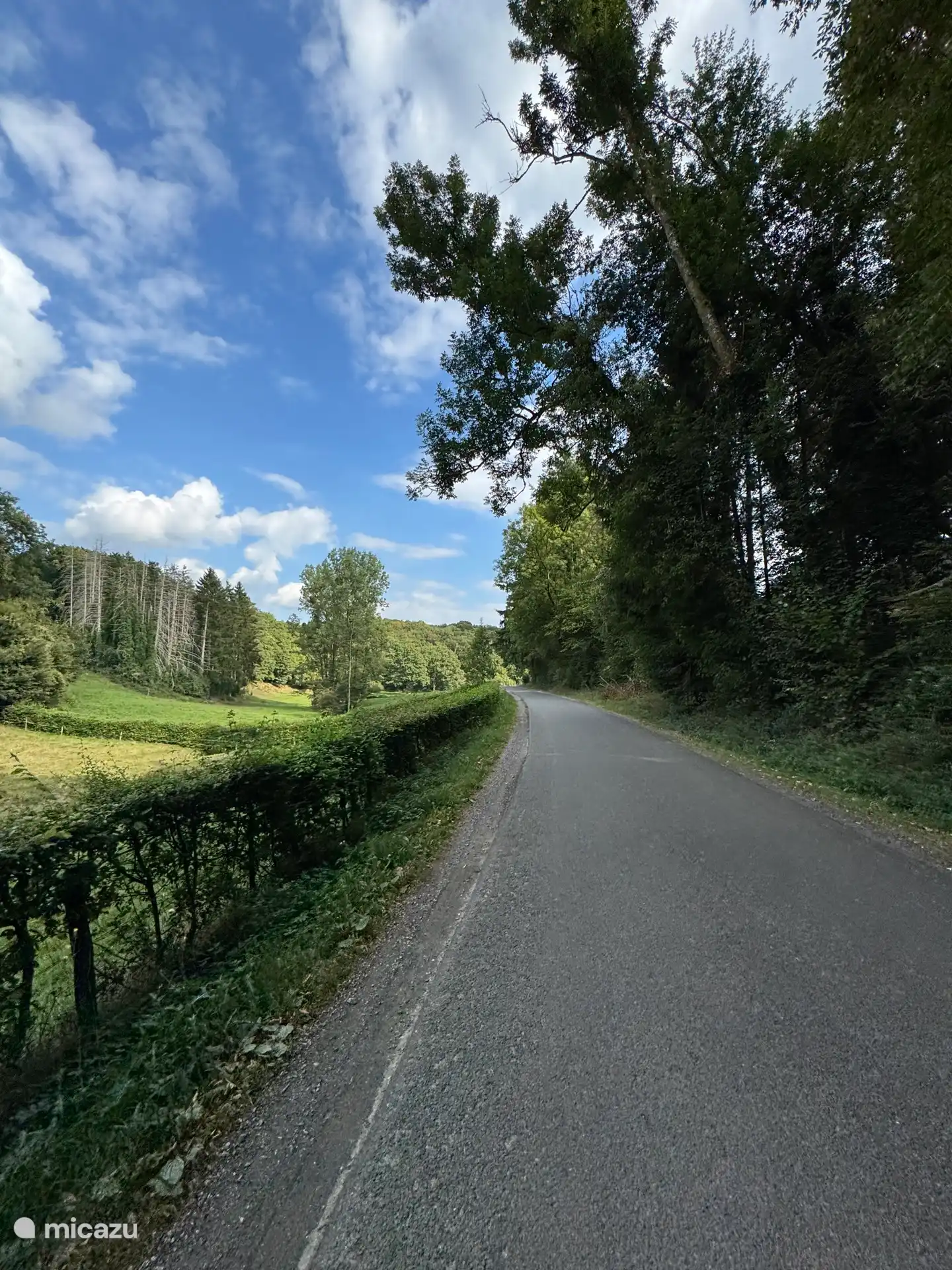 Genießen Sie die herrliche Umgebung