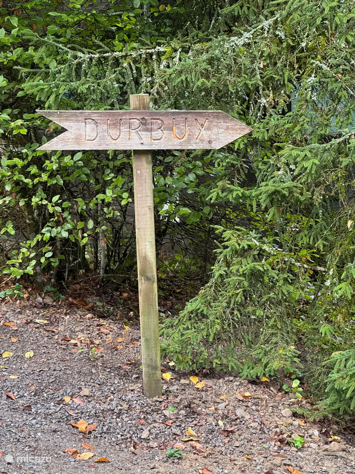 Genießen Sie die herrliche Umgebung