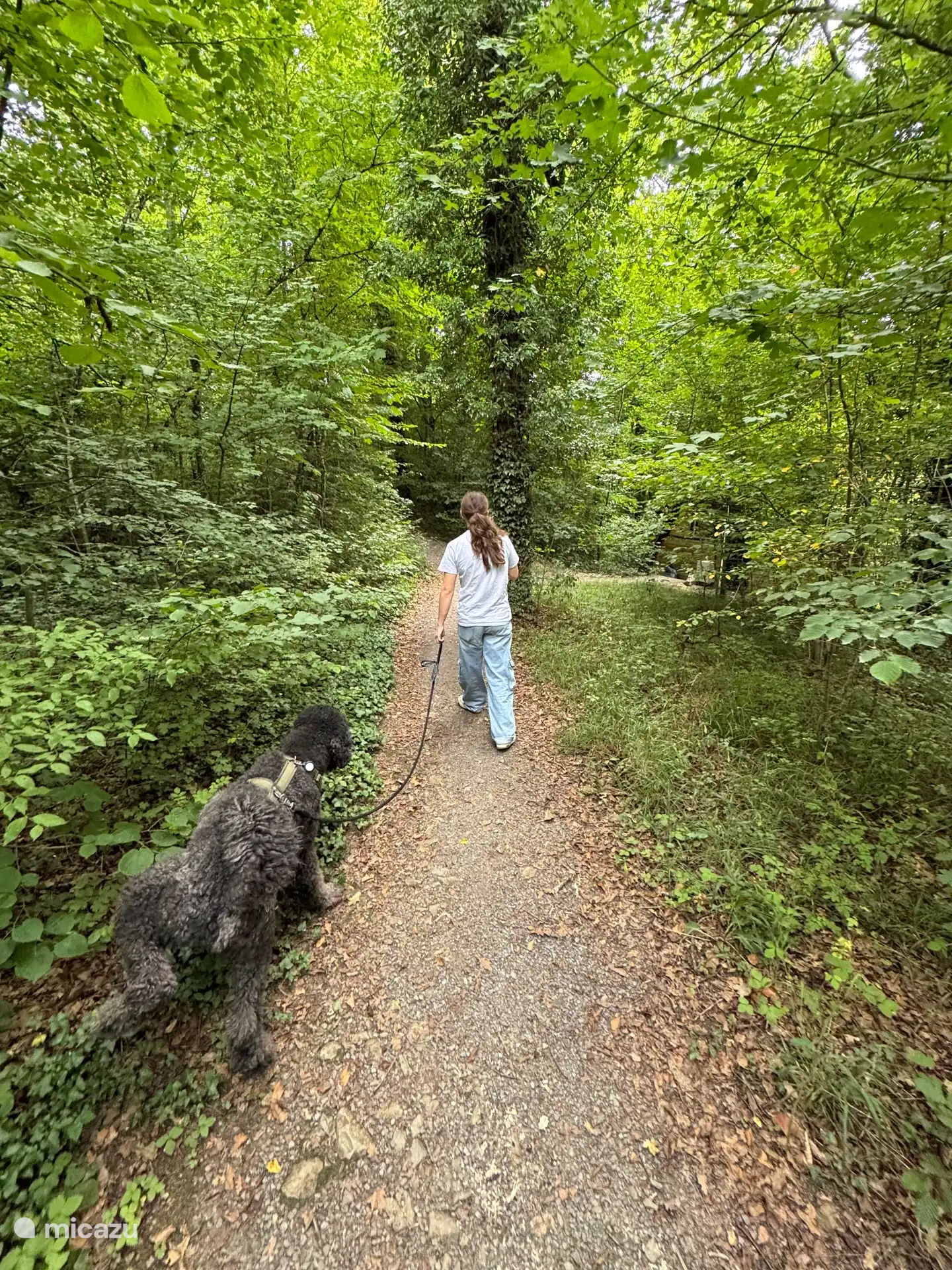 Genießen Sie die herrliche Umgebung