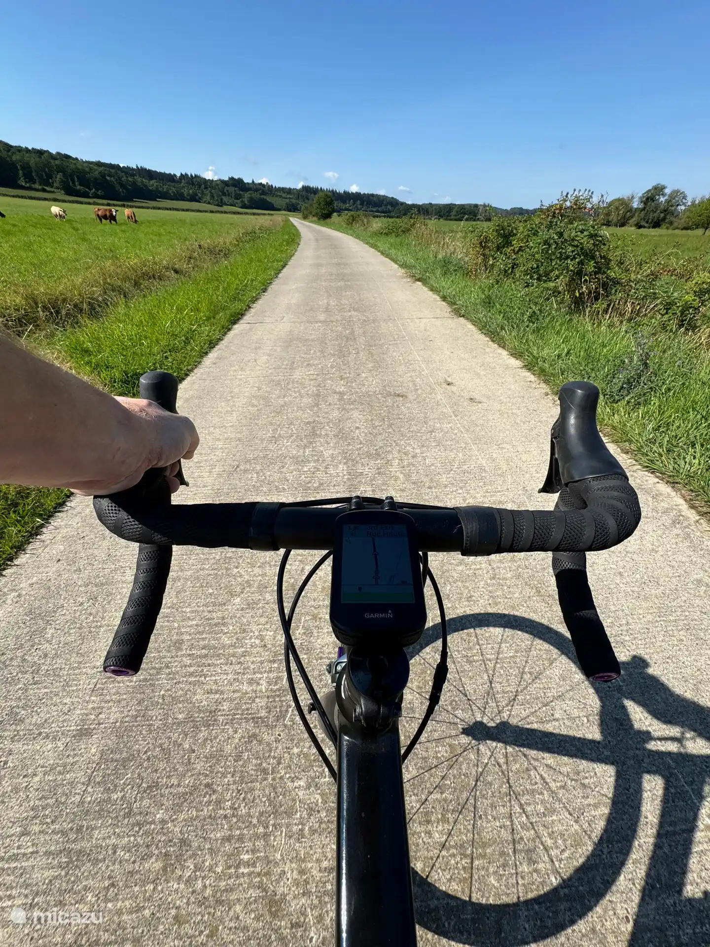 Genießen Sie die herrliche Umgebung