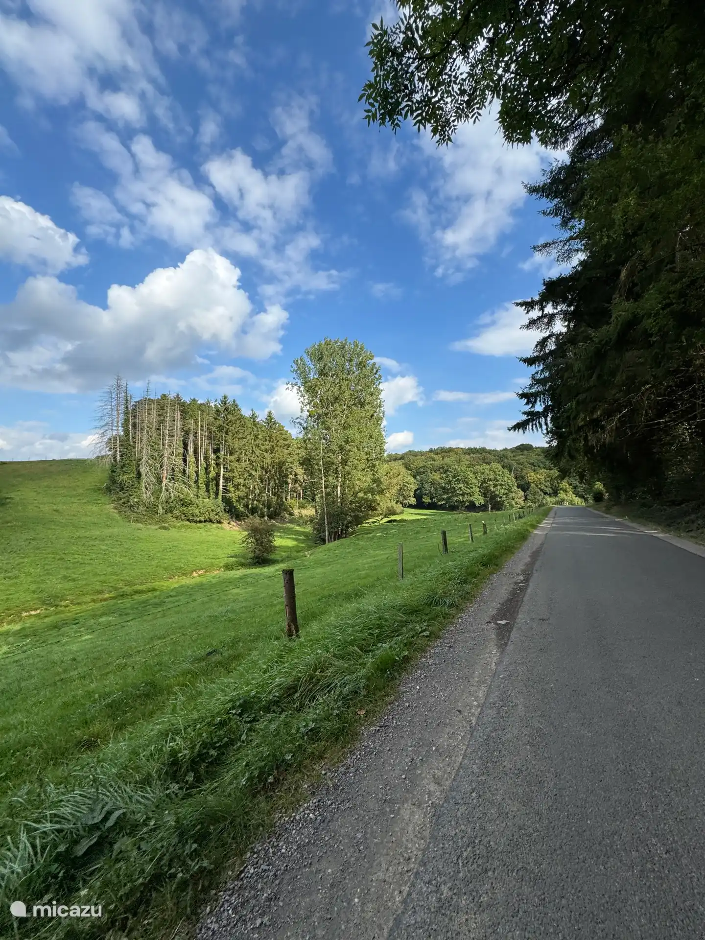 Genießen Sie die herrliche Umgebung