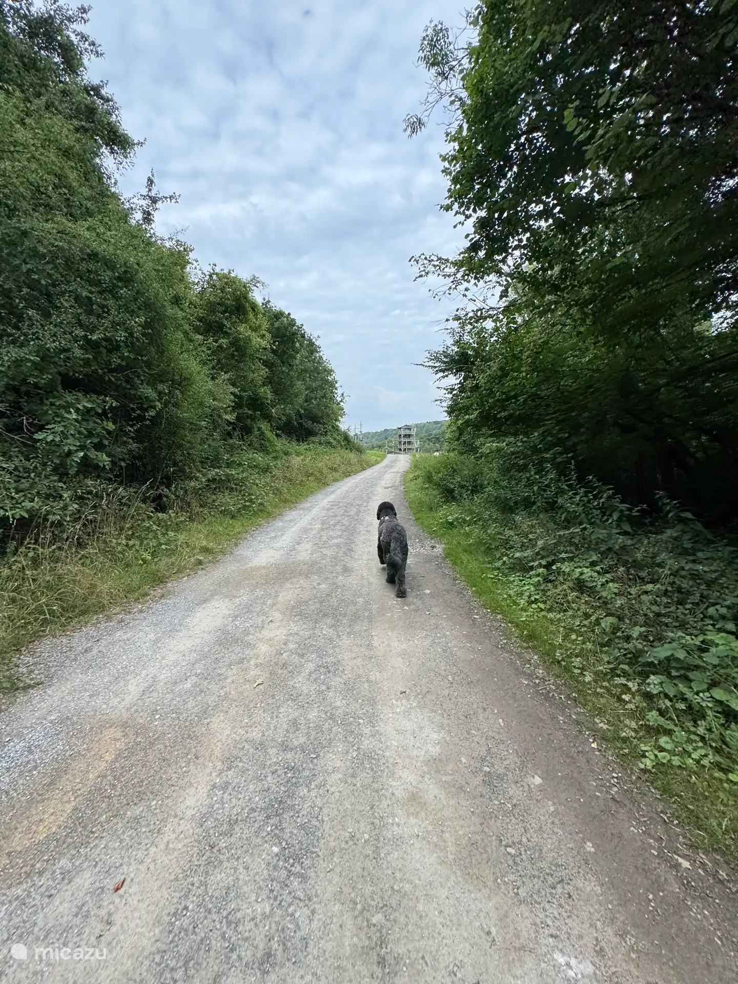 Genießen Sie die herrliche Umgebung