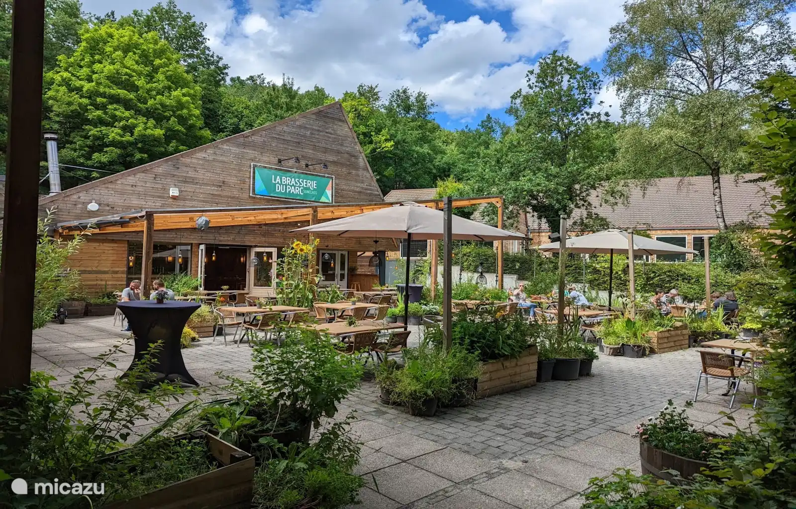 Köstliches Essen in der Natur auf einer attraktiven Terrasse mit modernem Look und entspannender grüner Umgebung.