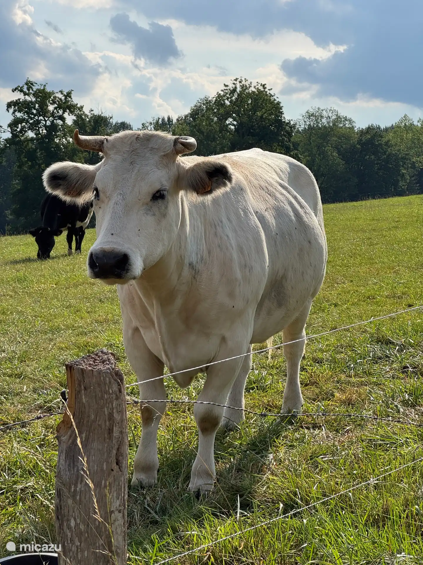 Genießen Sie die herrliche Umgebung