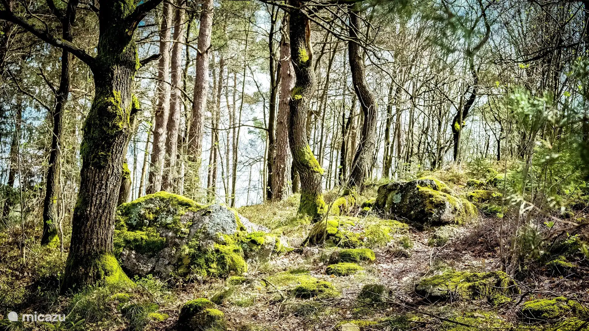 Genießen Sie die herrliche Umgebung