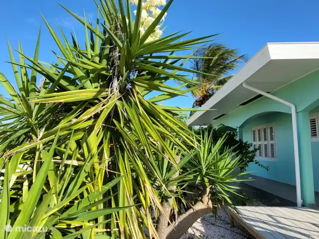 Villa Bananas, tropisch paradijsje huren in Curaçao, Banda Abou (west), Grote Berg - villa