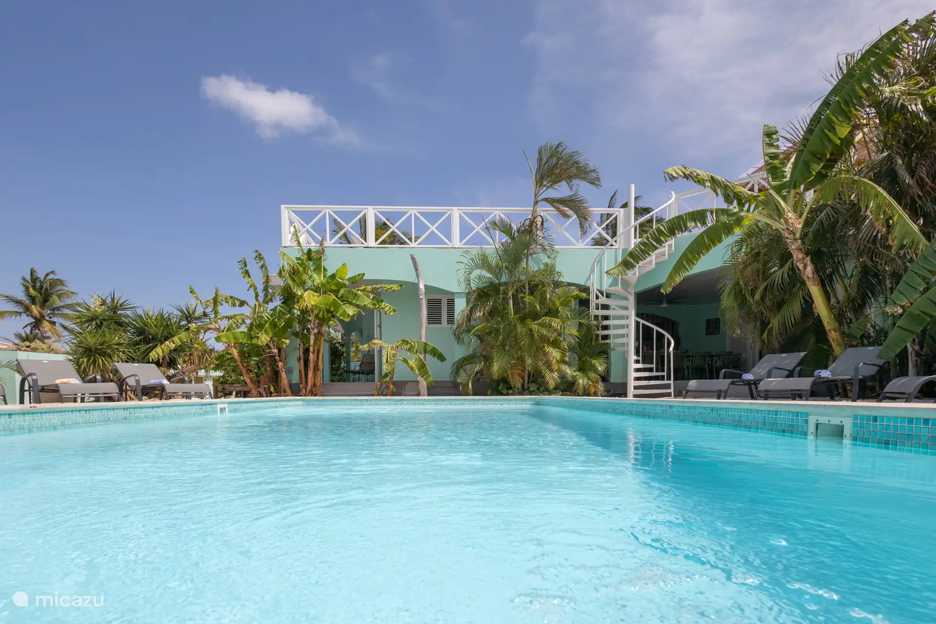 Grande piscine pour un bain rafraîchissant, 8x4 mètres