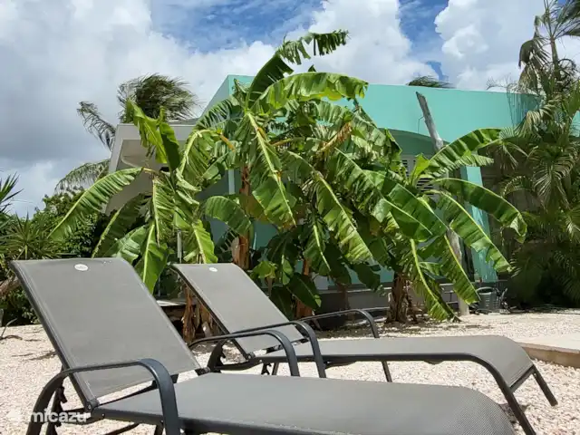 Villa Bananas, tropisch paradijsje huren in Curaçao, Banda Abou (west), Grote Berg - villa
