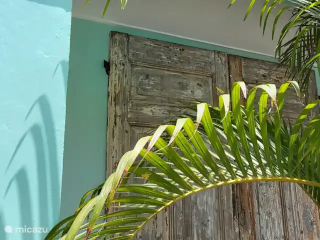 Villa Bananas, tropisch paradijsje huren in Curaçao, Banda Abou (west), Grote Berg - villa