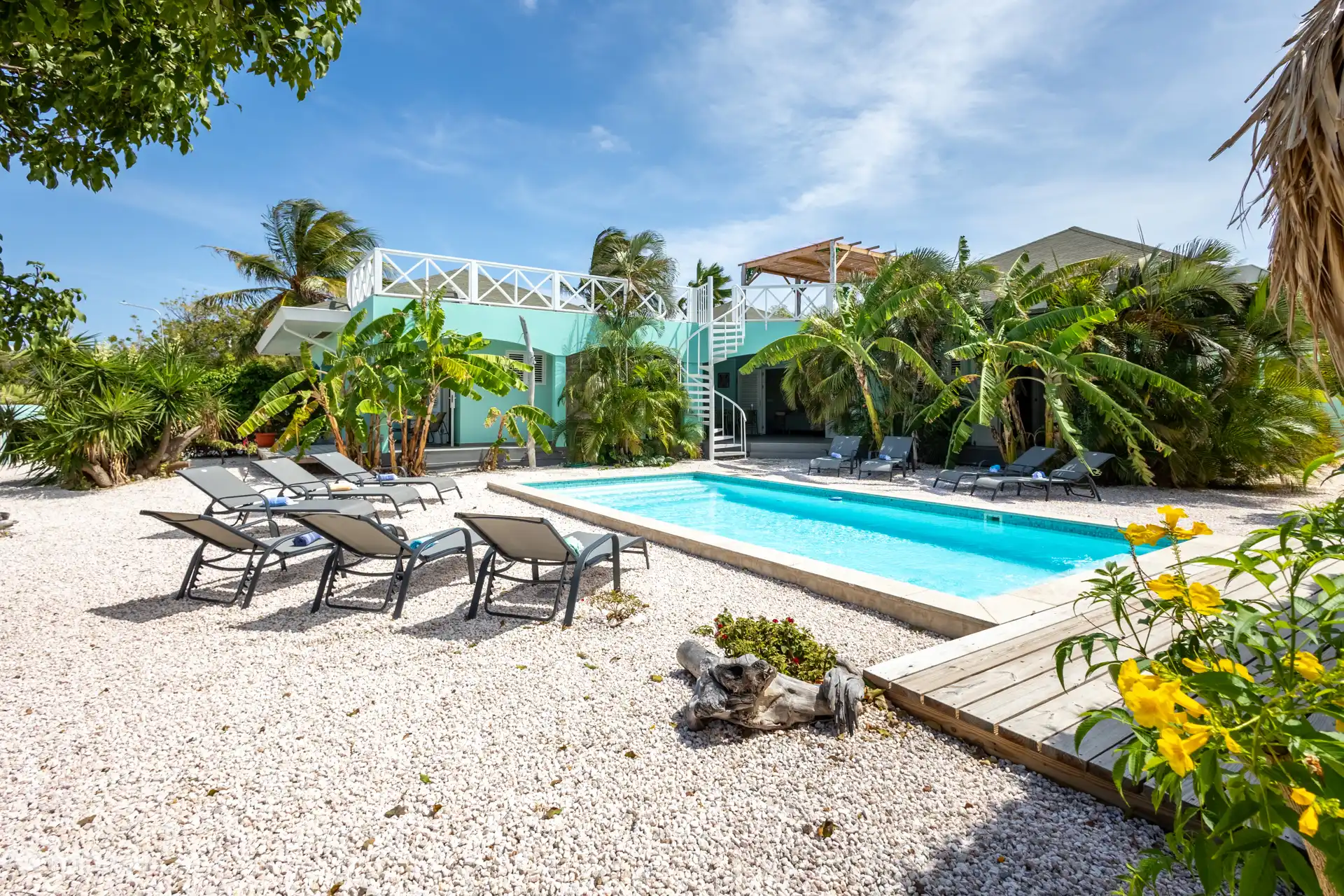 Quel tableau c’est, ton propre paradis tropical