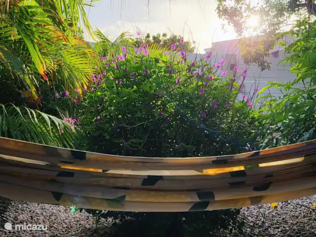 Villa Bananas, tropisch paradijsje huren in Curaçao, Banda Abou (west), Grote Berg - villa