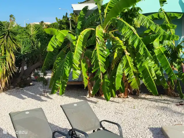 Villa Bananas, tropisch paradijsje huren in Curaçao, Banda Abou (west), Grote Berg - villa