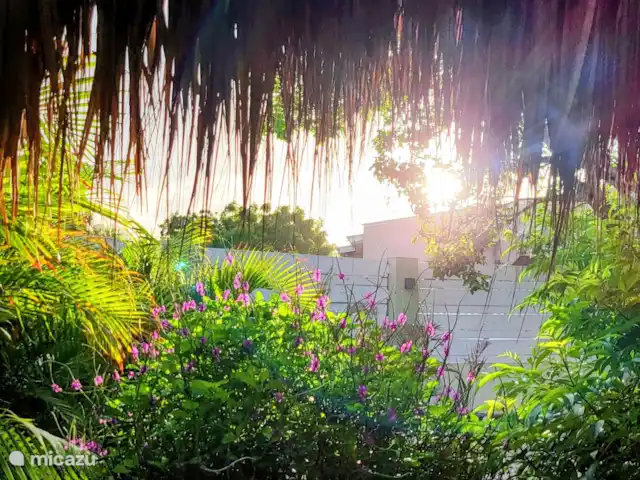 Villa Bananas, tropisch paradijsje huren in Curaçao, Banda Abou (west), Grote Berg - villa