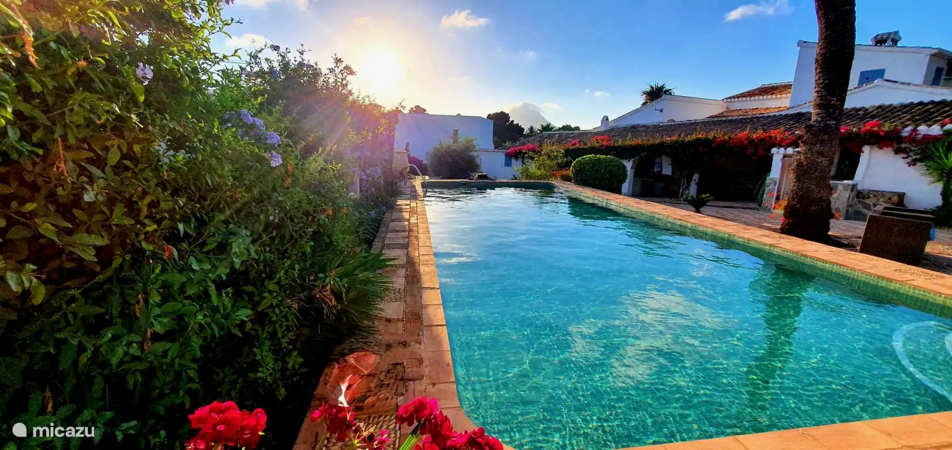 Private swimming pool of 12 x 6 meters