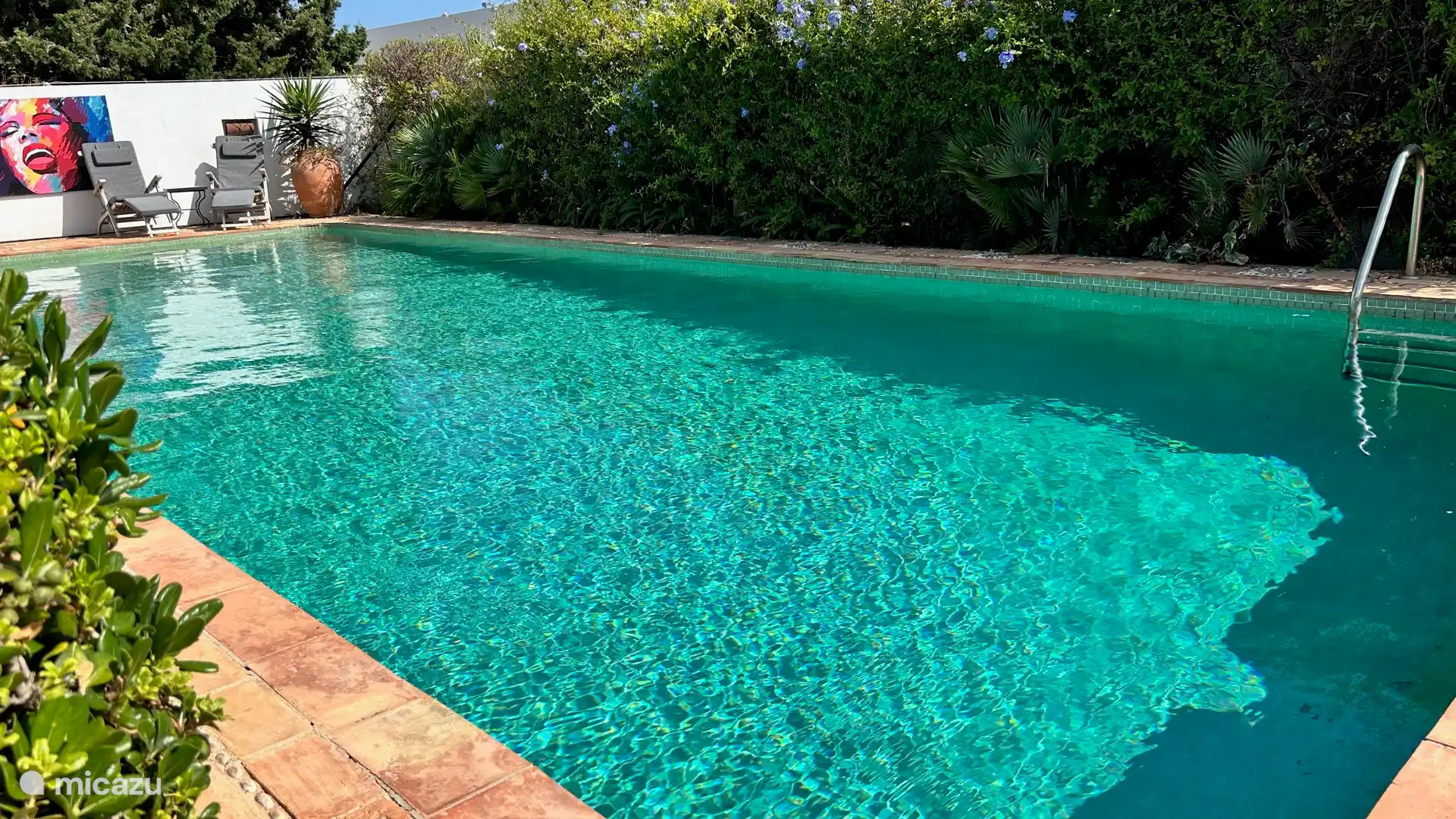 Private swimming pool of 12 x 6 meters
