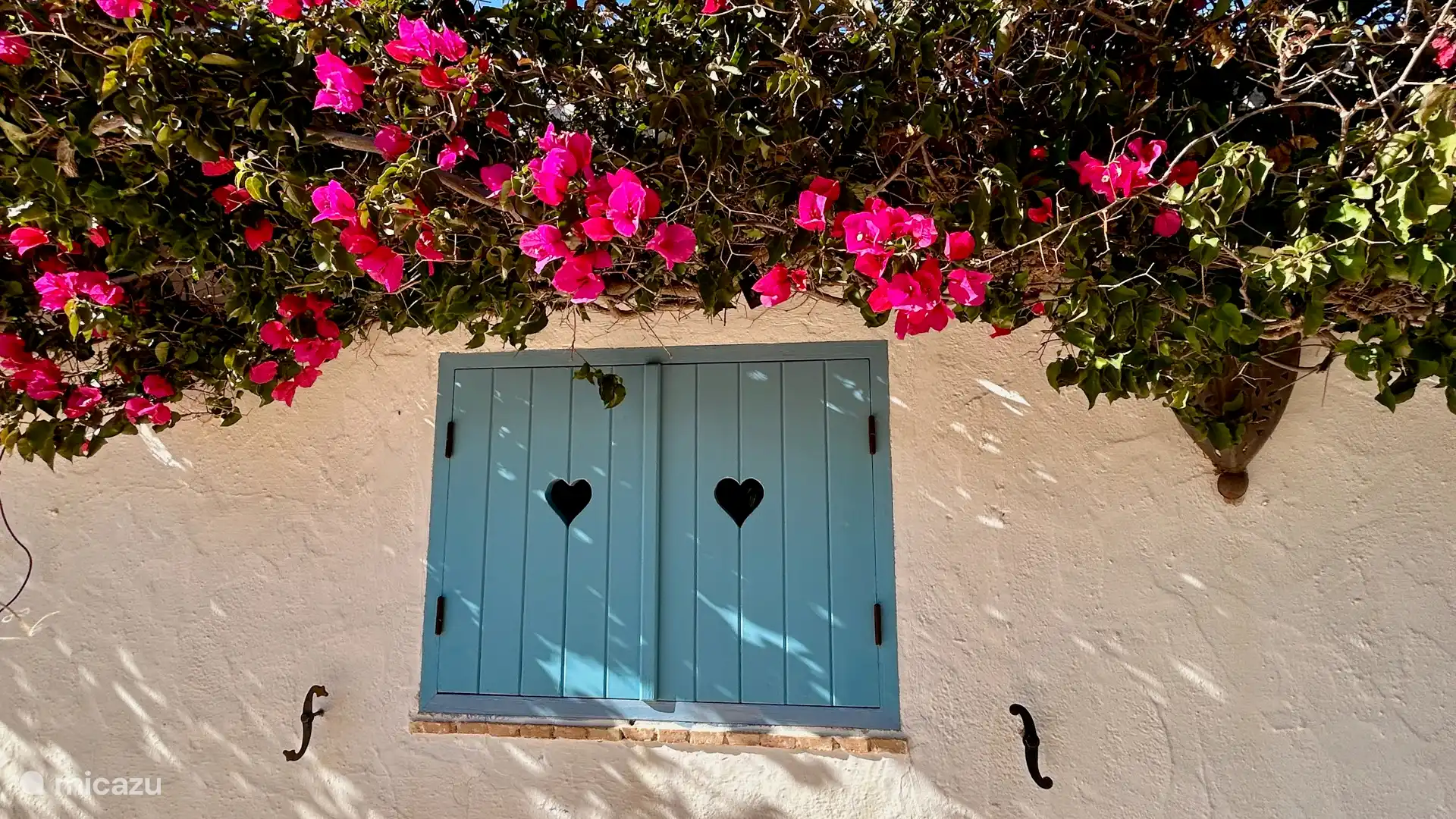Die Fensterläden mit der schönen Bougainvillea.