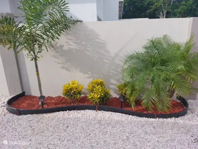 Location de Vacances Aruba, Oranjestad, Oranjestad, maison de ville - Retraite Casa Wayaca  Planter