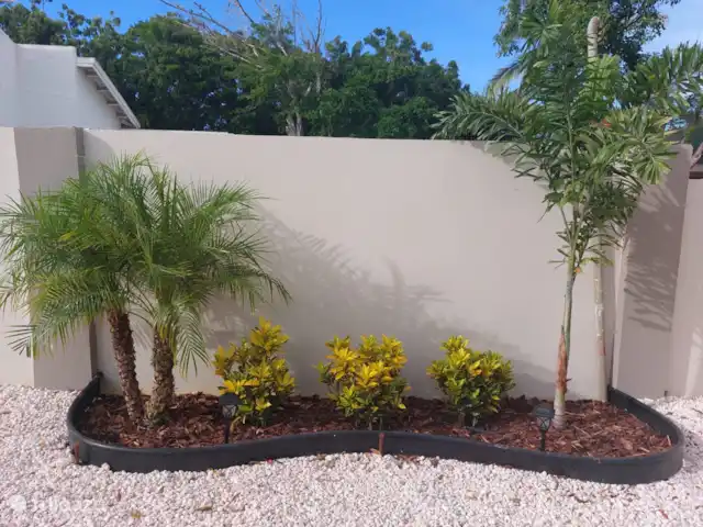 Location de Vacances Aruba, Oranjestad, Oranjestad, maison de ville - Retraite Casa Wayaca  Planter