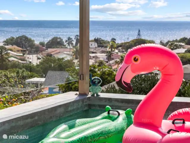 Artistieke Villa Scoop met zeezicht huren in Curaçao, Banda Ariba (oost), Bapor Kibra - villa Verschillende art objecten te vinden in Villa Scoop.