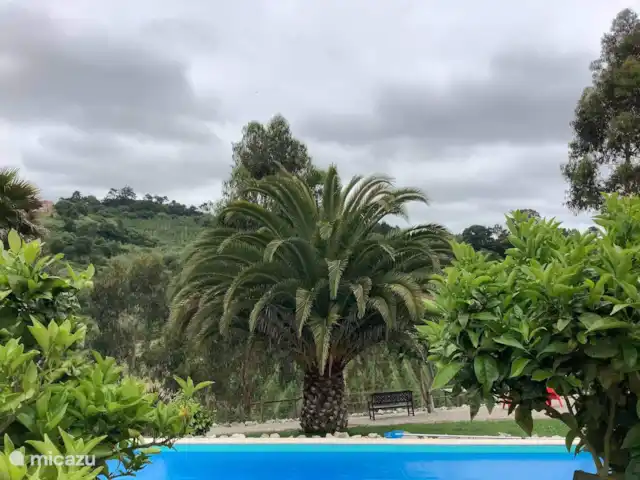 casa vacacional en Portugal, Costa de Prata, Alfeizerão –  Casa Andorinha Jardín