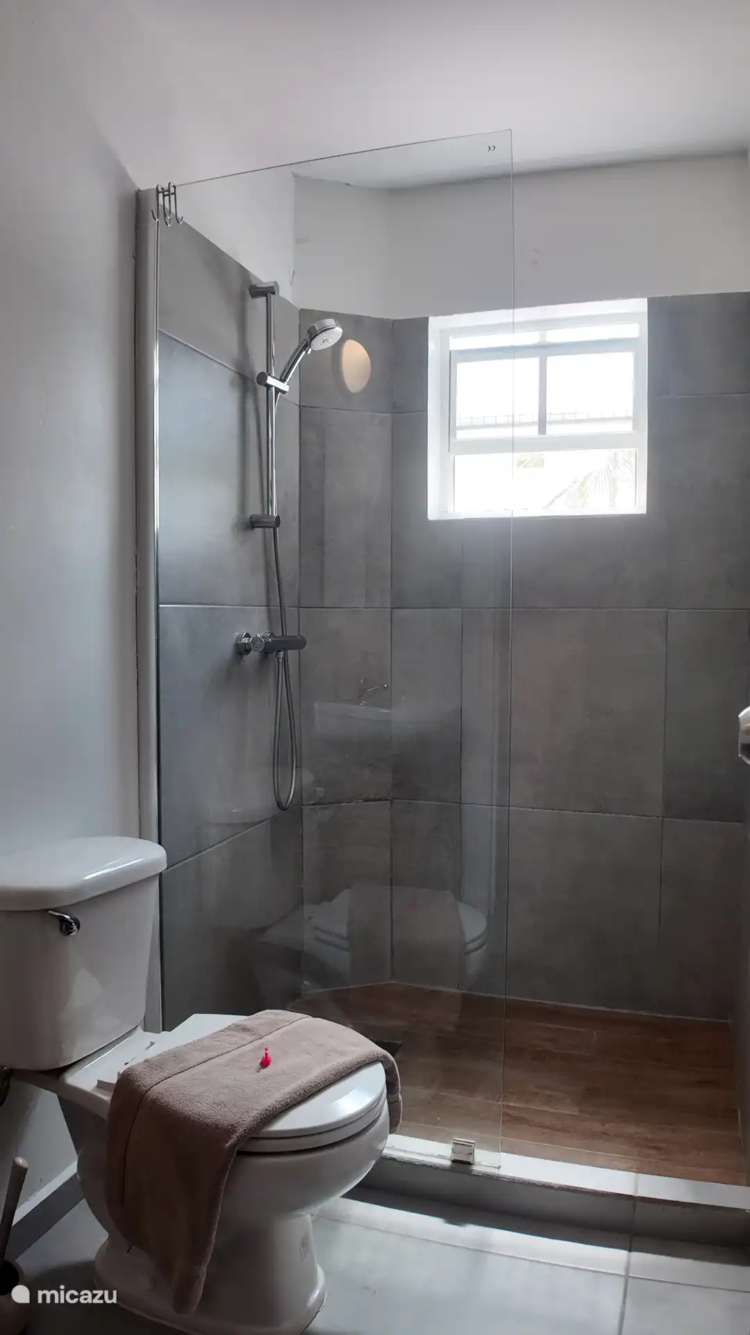 Badezimmer mit WC, Badmöbeln und Dusche.