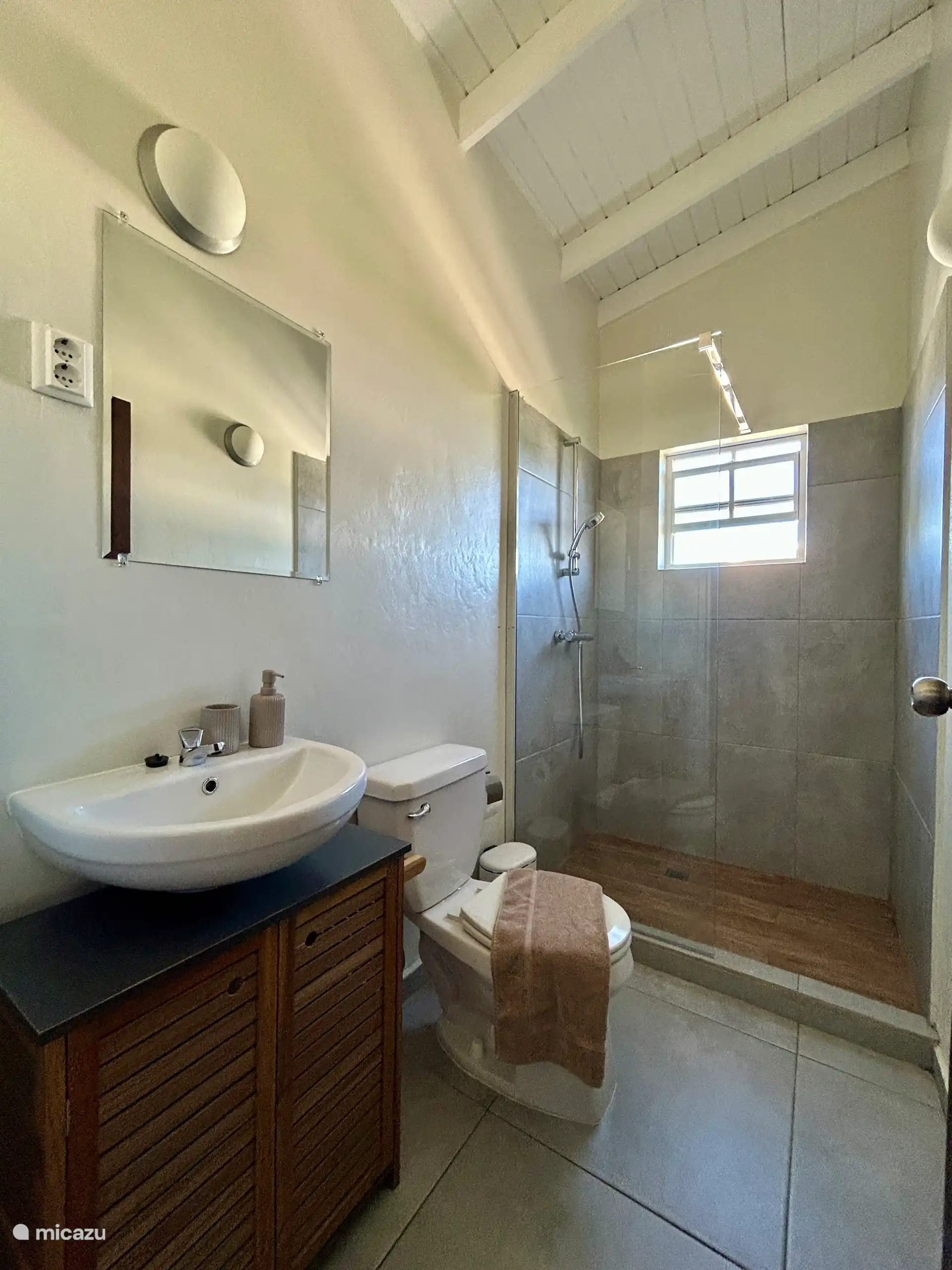 Salle de bain avec lavabo, toilettes et douche.