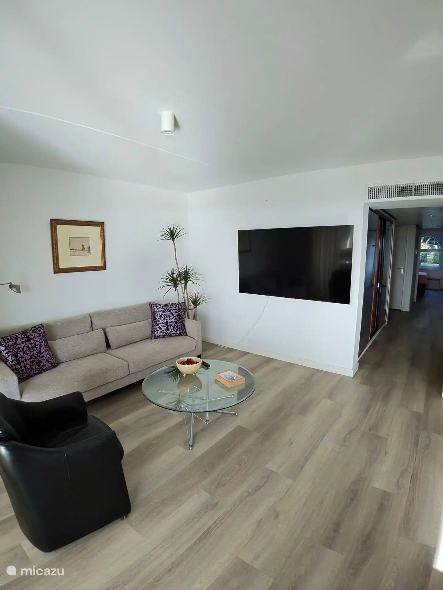 Living with a large smart tv