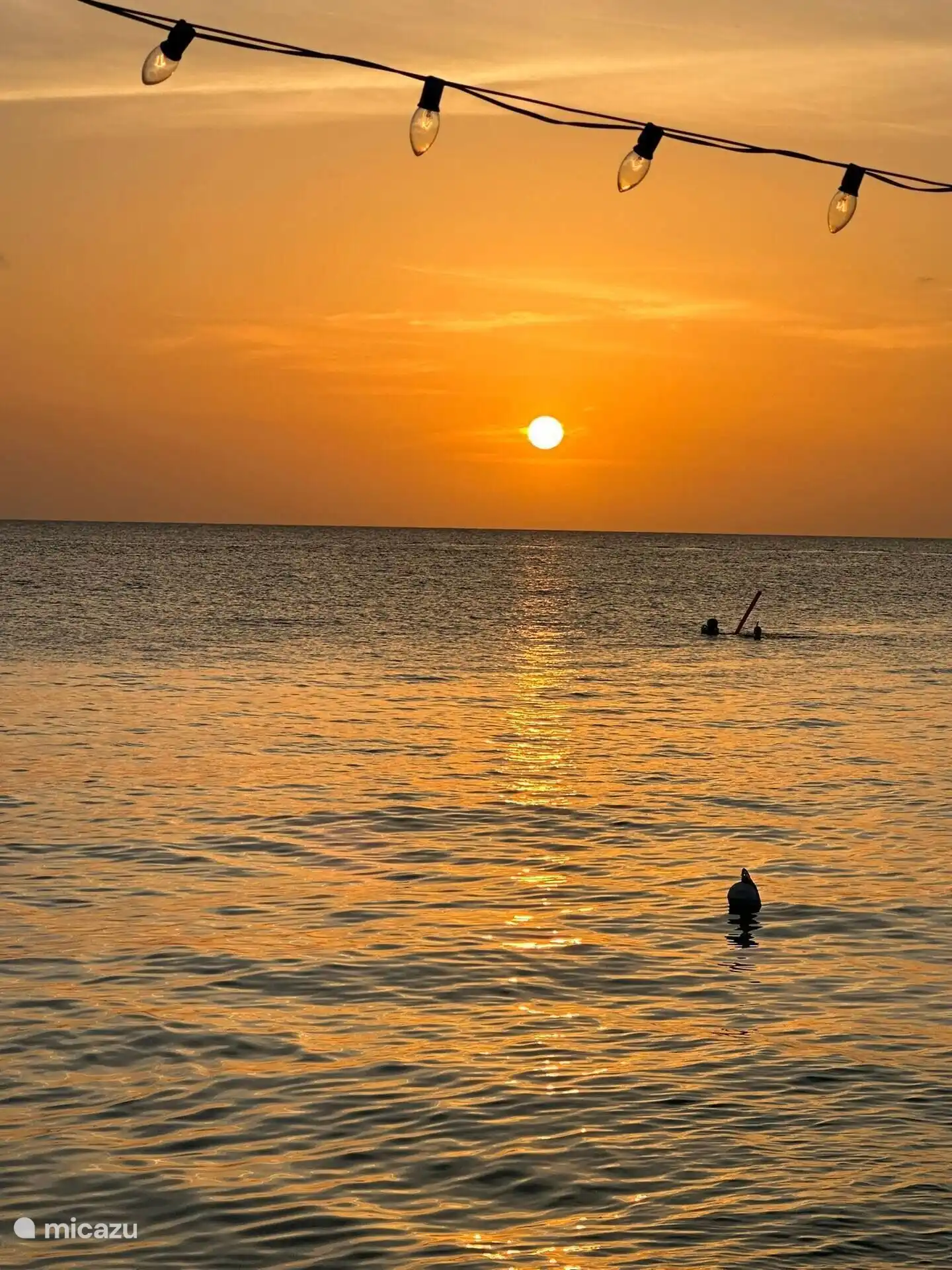 Sun sunset in the bay