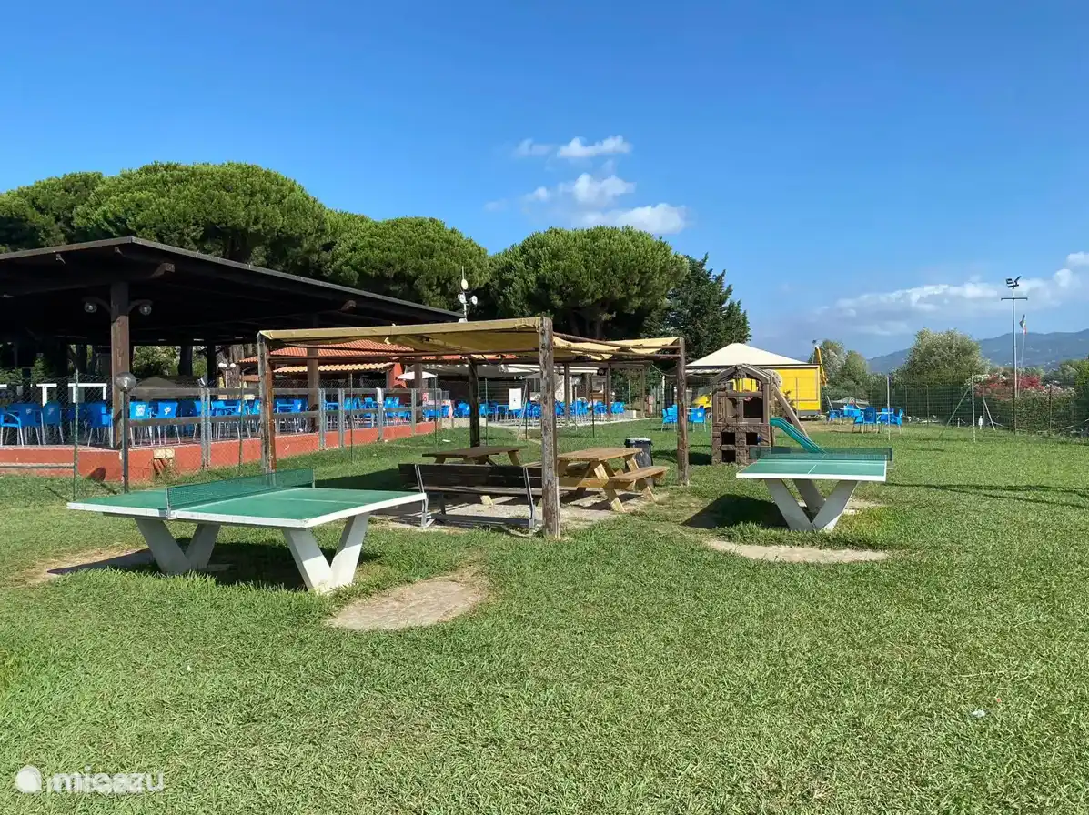 Tennis de table / détente