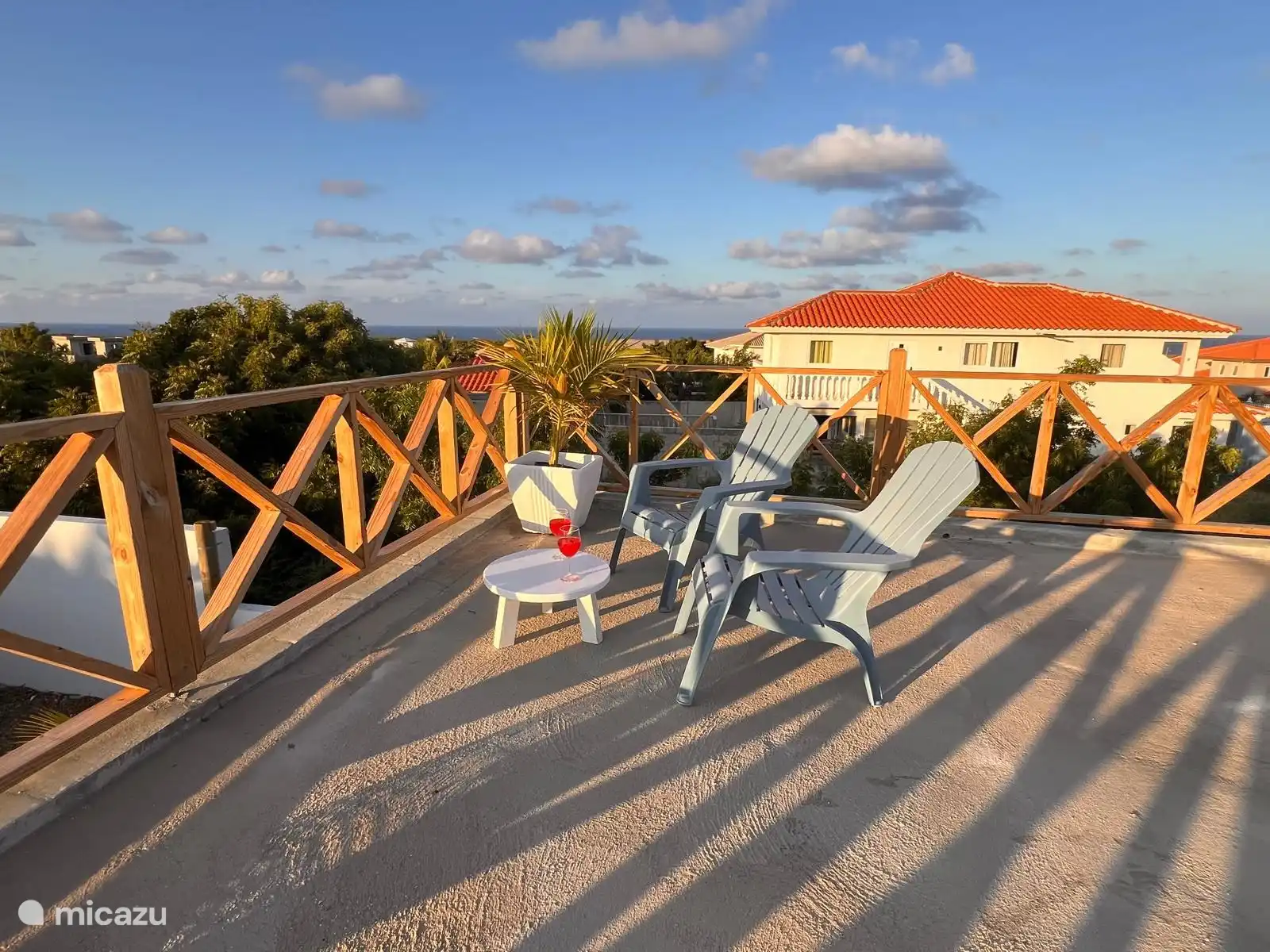 The showpiece, roof terrace with fantastic views!