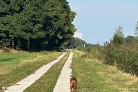 Depuis Huize Kroezzz, vous pouvez marcher directement dans la nature