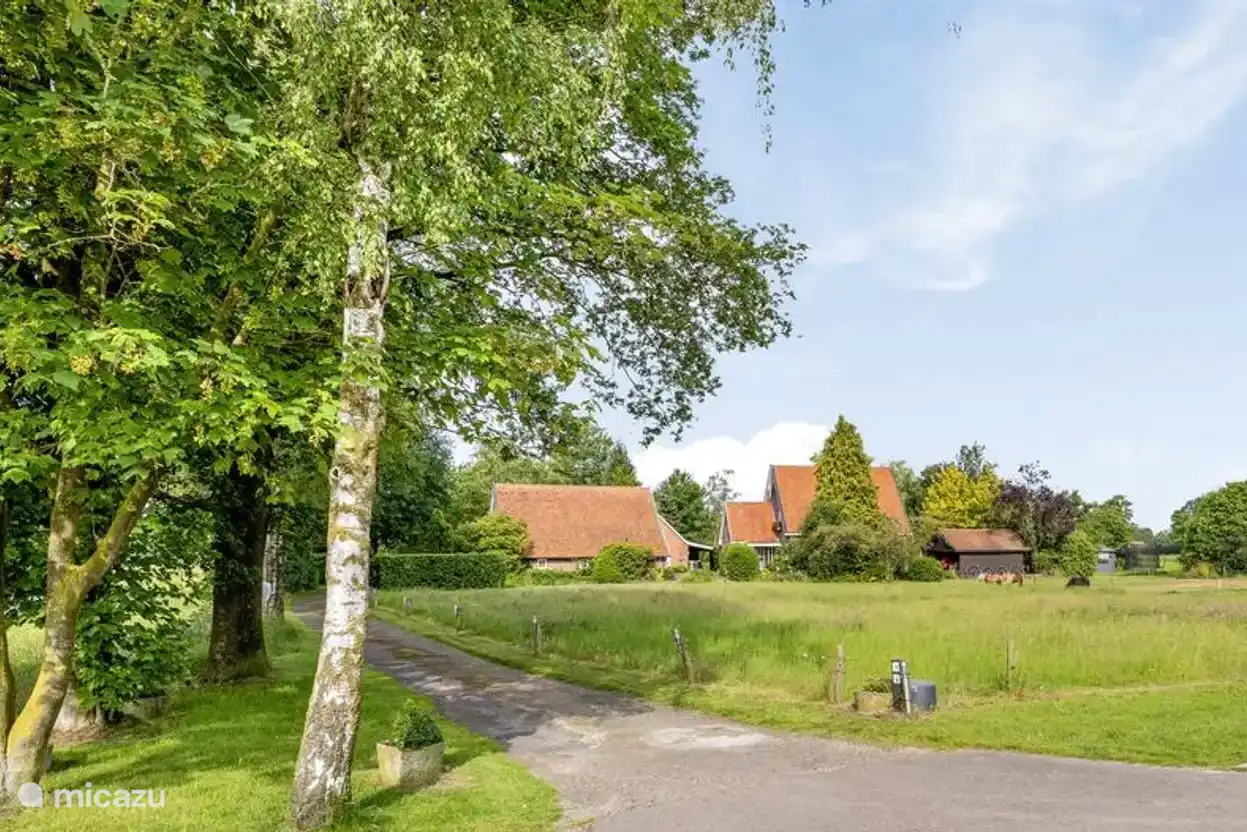 Dies ist die Einfahrt von Huize Kroezzz, auf der linken Seite befindet sich das Ferienhaus. Auf der rechten Seite befindet sich unser eigenes Zuhause 