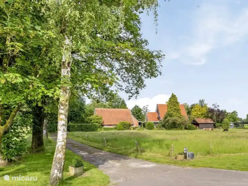 Maison Kroezzz  | Pays-Bas, Overijssel, Goor - Maison de vacances Maison Kroezzz  | Pays-Bas, Overijssel, Goor - Maison de vacances