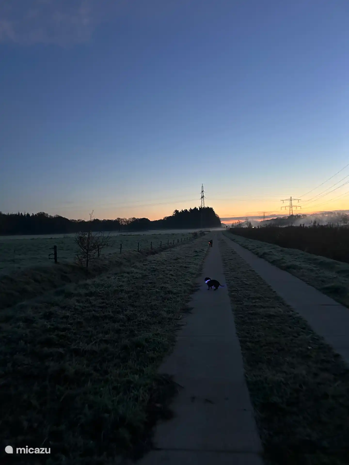 Wunderschöner Wintermorgen 