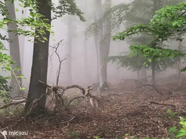 Rheintal en Alemania, Renania-Palatinado, Weyer - chalet Madrugadores en la carretera