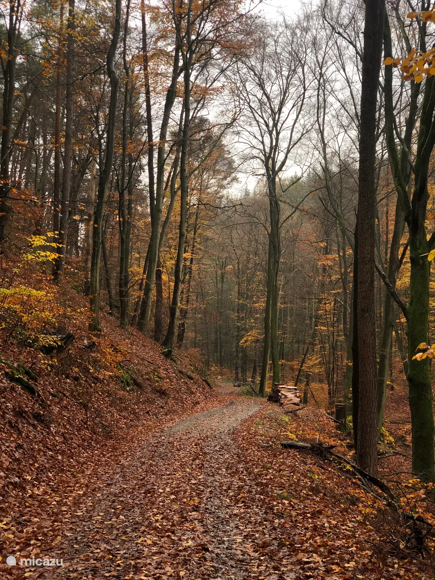 L’automne autour du Rheintal
