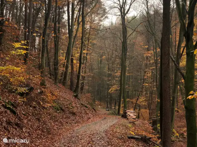 Rheintal en Alemania, Renania-Palatinado, Weyer - chalet Otoño alrededor de Rheintal