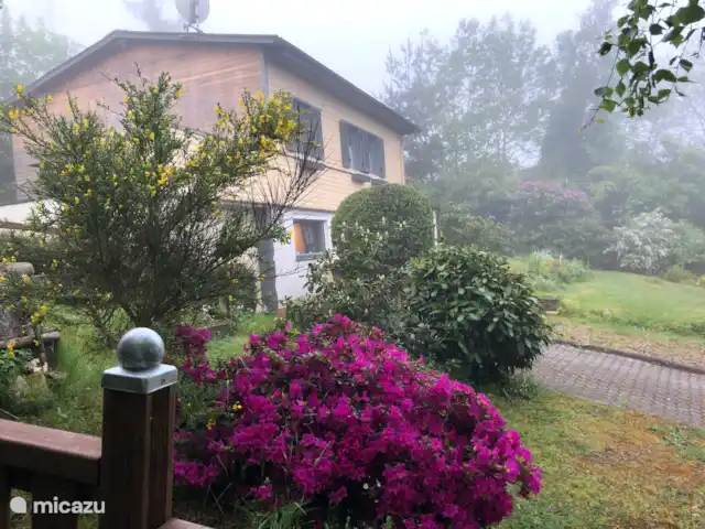 Rheintal en Alemania, Renania-Palatinado, Weyer - chalet Jardín grande cerrado