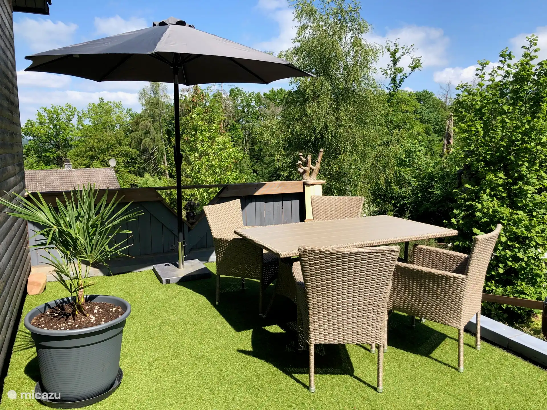 Belle terrasse privée. Vue sur la forêt et la vallée du Rhin