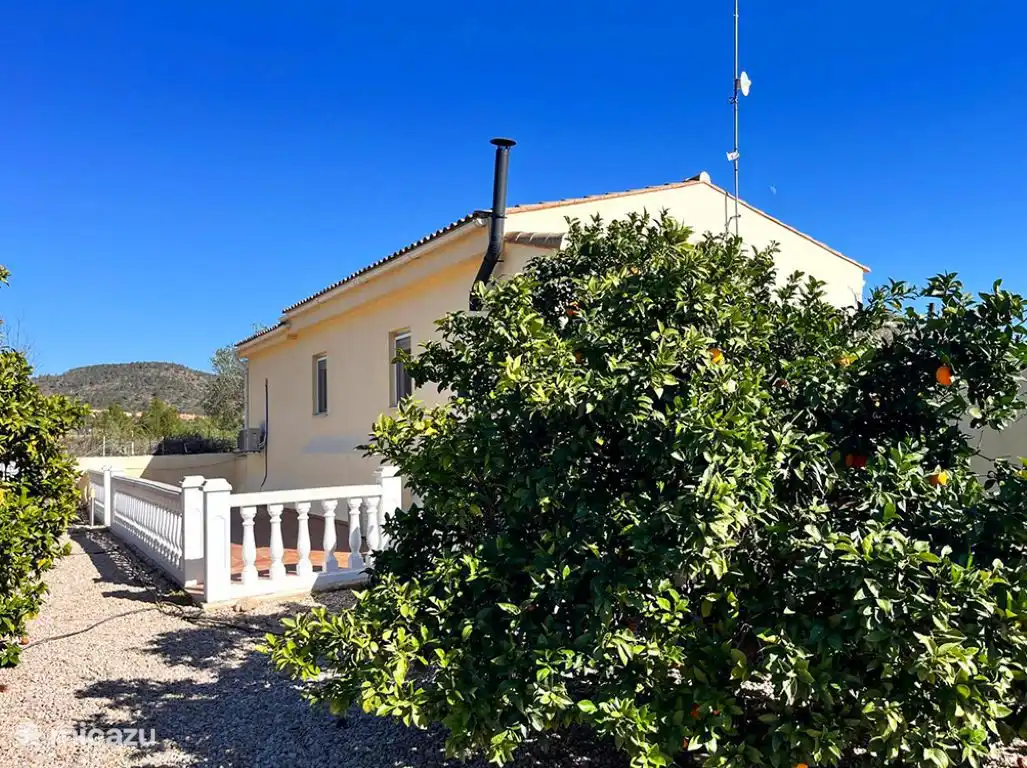 patio trasero con naranja-limón y
Granadas