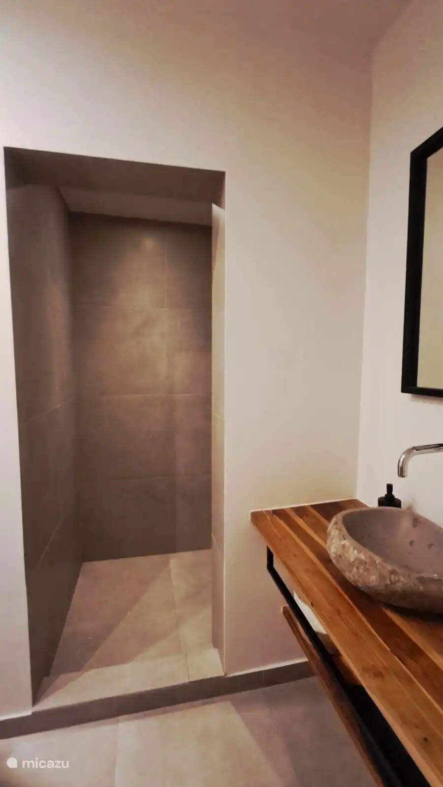 Ample walk in shower in Master bedroom 